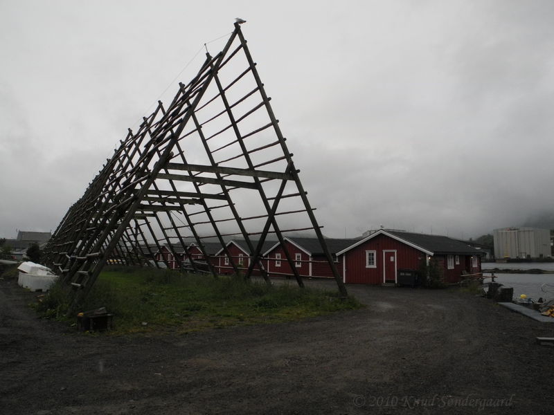 Klik for fuld størrelse