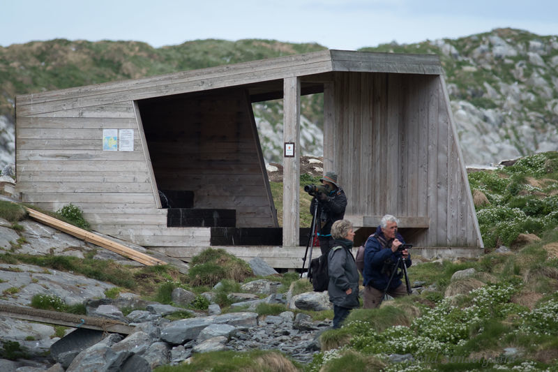 Klik for fuld størrelse