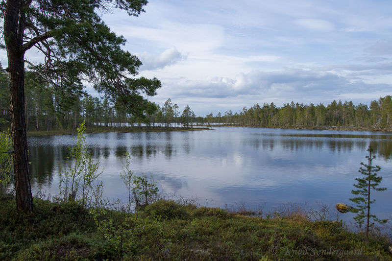 Klik for fuld størrelse