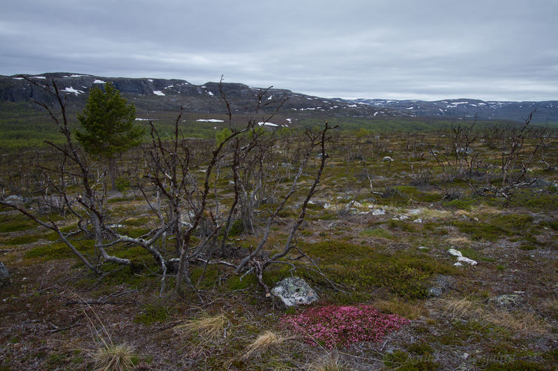 Klik for fuld størrelse