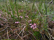 Filnavn=DSCN0436.jpg
Filstørrelse=1688KiB
Dimensioner=3648x2736
Dato for tilføjelse=29 Jul, 2012 DSCN0436.jpg