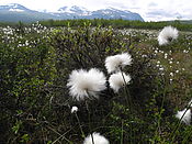 Filnavn=DSCN0464.jpg
Filstørrelse=1106KiB
Dimensioner=3648x2736
Dato for tilføjelse=29 Jul, 2012 DSCN0464.jpg