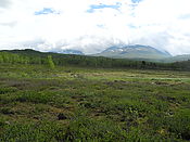 Filnavn=DSCN0467~0.jpg
Filstørrelse=1430KiB
Dimensioner=3648x2736
Dato for tilføjelse=29 Jul, 2012 DSCN0467~0.jpg