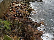 Filnavn=DSCN0591.jpg
Filstørrelse=1907KiB
Dimensioner=3648x2736
Dato for tilføjelse=29 Jul, 2012 DSCN0591.jpg