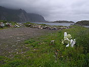 Filnavn=DSCN0604.jpg
Filstørrelse=1495KiB
Dimensioner=3648x2736
Dato for tilføjelse=29 Jul, 2012 DSCN0604.jpg