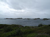 Filnavn=DSCN0610.jpg
Filstørrelse=890KiB
Dimensioner=3648x2736
Dato for tilføjelse=29 Jul, 2012 DSCN0610.jpg