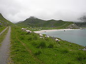 Filnavn=DSCN0689.jpg
Filstørrelse=1210KiB
Dimensioner=3648x2736
Dato for tilføjelse=29 Jul, 2012 DSCN0689.jpg