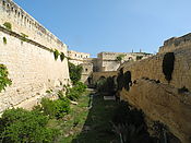 DSCN1245.jpg