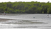 Filnavn=DSCN1917.jpg
Filstørrelse=915KiB
Dimensioner=2888x1672
Dato for tilføjelse=12 Maj, 2013 DSCN1917.jpg