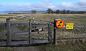 Filnavn=DSCN3211.jpg
Filstørrelse=1490KiB
Dimensioner=3292x1969
Dato for tilføjelse=07 Apr, 2014 DSCN3211.jpg