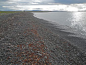 Filnavn=DSCN3348.jpg
Filstørrelse=2189KiB
Dimensioner=3648x2736
Dato for tilføjelse=06 Okt, 2014 DSCN3348.jpg