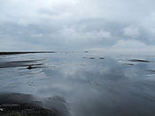 Filnavn=DSCN3764.JPG
Filstørrelse=1233KiB
Dimensioner=3629x2722
Dato for tilføjelse=26 Dec, 2014 DSCN3764.JPG
