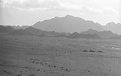 IMG025~4.jpg