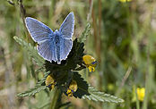 IMG_12554.jpg