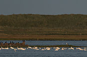 IMG_3255.JPG