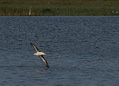 IMG_3368.JPG