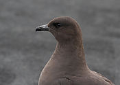 IMG_47052.JPG