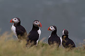 IMG_47781.JPG