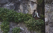 IMG_48694.JPG