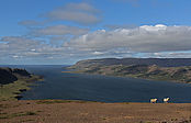 Filnavn=IMG_49536.JPG
Filstørrelse=1777KiB
Dimensioner=3999x2568
Dato for tilføjelse=19 Okt, 2014 IMG_49536.JPG