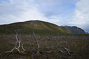 Filnavn=IMG_5623.jpg
Filstørrelse=1794KiB
Dimensioner=3999x2666
Dato for tilføjelse=16 Nov, 2017 IMG_5623.jpg