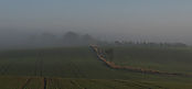 IMG_5884.jpg