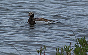 IMG_6133~0.jpg