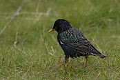 IMG_7280.jpg