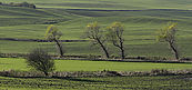 Filnavn=IMG_9918.jpg
Filstørrelse=114KiB
Dimensioner=800x374
Dato for tilføjelse=25 Dec, 2010 IMG_9918.jpg