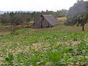 p2213059~1.jpg
