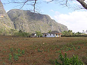 Filename=p2233272~1.jpg
Filesize=178KiB
Dimensions=801x600
Date added=Dec 05, 2010 p2233272~1.jpg